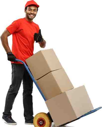 Packers and Movers in Bhopal